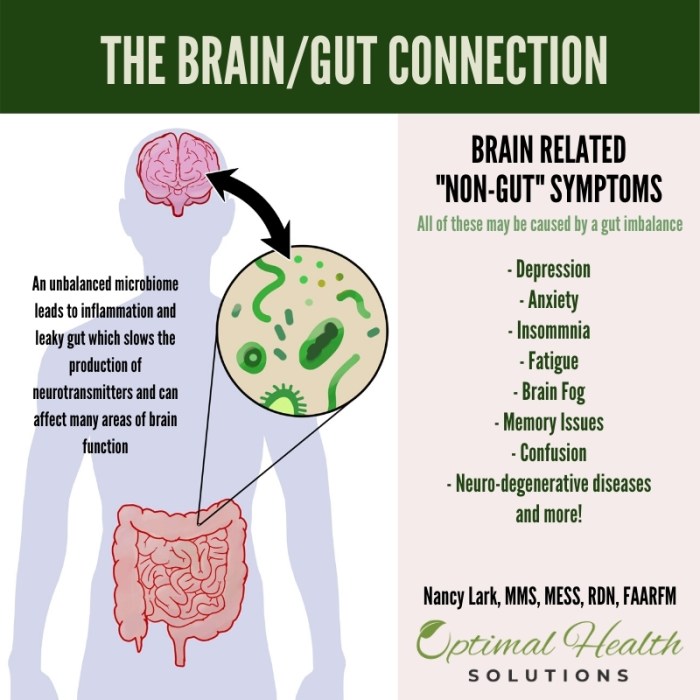 UNDERSTANDING THE GUT-BRAIN CONNECTION FOR OPTIMAL HEALTH UNDERSTANDING THE GUT-BRAIN CONNECTION FOR OPTIMAL HEALTH