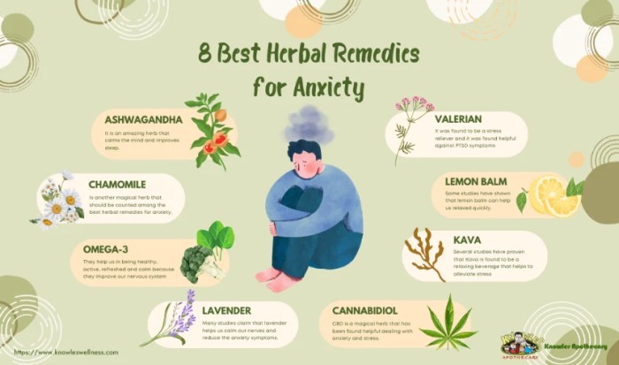 8 Best Herbal Remedies for Anxiety and Depression | KnowlesWellness 8 Best Herbal Remedies for Anxiety and Depression | KnowlesWellness