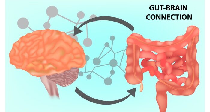 What Is The Gut-Brain Connection? - Life First