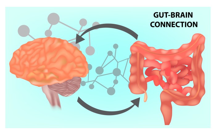 What Is The Gut-Brain Connection? - Life First What Is The Gut-Brain Connection? - Life First